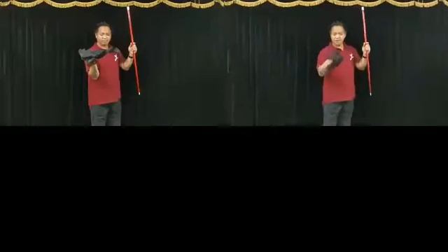 Saturn Magic - Color Changing Cane (3x) by JL Magic - Trick