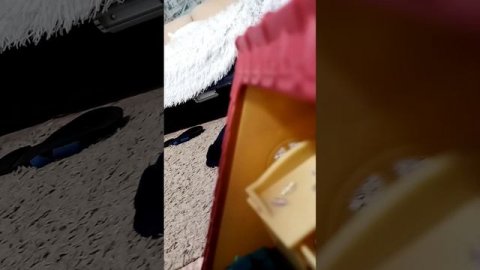 VID_20250204_151052.3gp