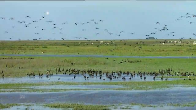 Paradise in Hell. Shelter in the Pools | Nature - Planet Doc Full Documentaries