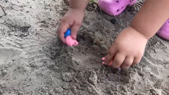 Свинка Пеппа и её семья на озере. Свинка Пеппа отдыхает на пляже.