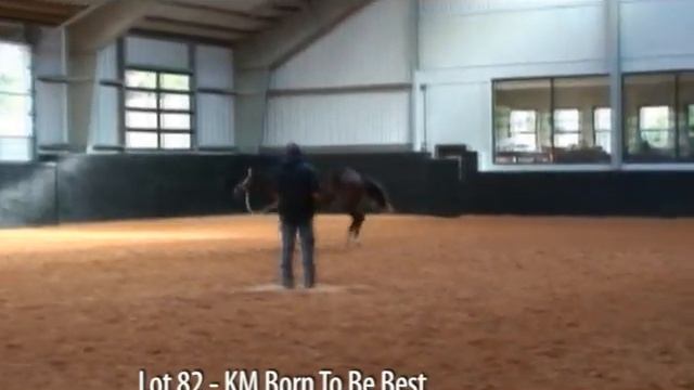 World Salebration - Lot 82- KM Born To Be Best