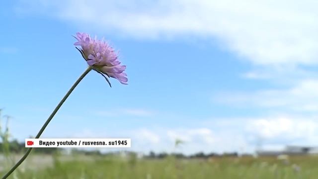 Поздравление с днем ВДВ