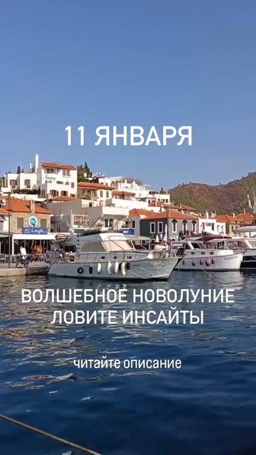 Волшебное новолуние 11 января. Читайте описание