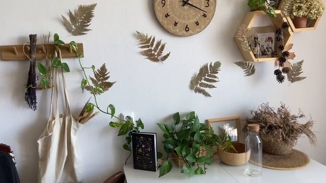 МОЯ КОЛЛЕКЦИЯ РАСТЕНИЙ! 🌿 Растения с Авито