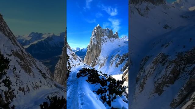МЕЖГАЛАКТИЧЕСКАЯ КОНФЕДЕРАЦИЯ СОВЕТ ДЕВЯТИ