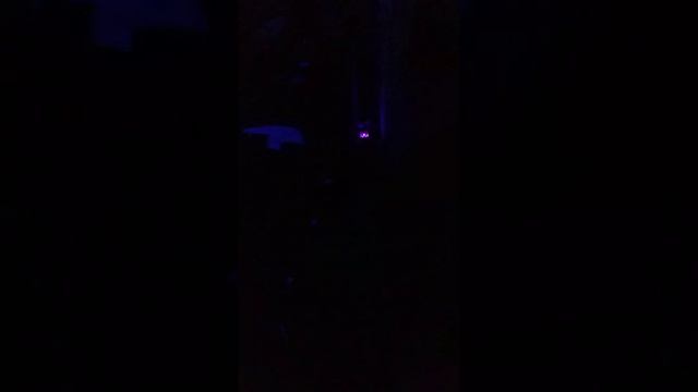 Семинар партнеров 1с гостиница космос (2)