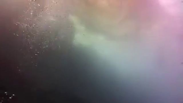 Tribe Scuba at Marsa Nakari.m4v