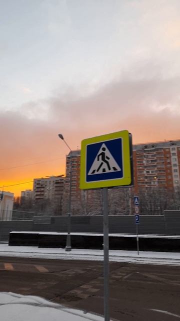 Случайная съемка, ещё один ценитель красоты...😊