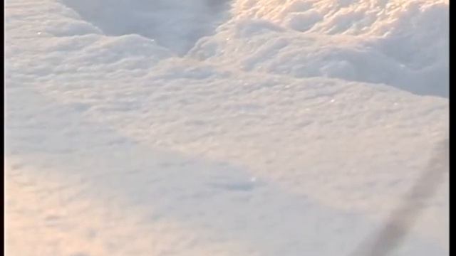 2001. 12.  Мегион. Декабрь