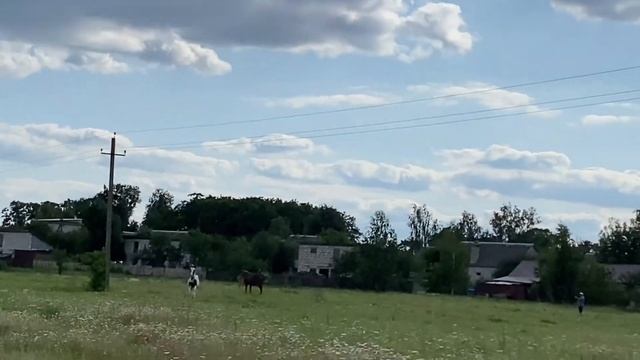 Маковка приходит в охоту, Роза уже покрыта, Марс мечется между ними…