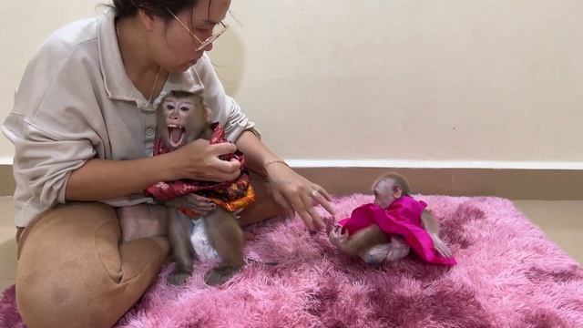 Pity Lil Jenny Workhard To Bring All Staff & Carry Over Over Weight Chichi To Room