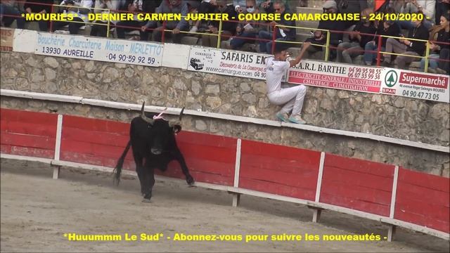 MOURIES-DERNIER CARMEN JUPITER-Course Camarguaise-24/10/2020-Cadenas