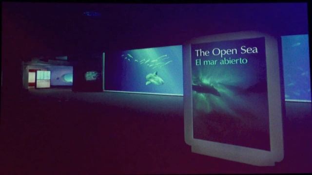 Jon Hoech Открытые моря