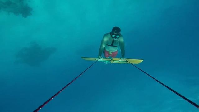 Egipt Marsa Alam Three Corners fayrouz plaza beach resort - Underwater World