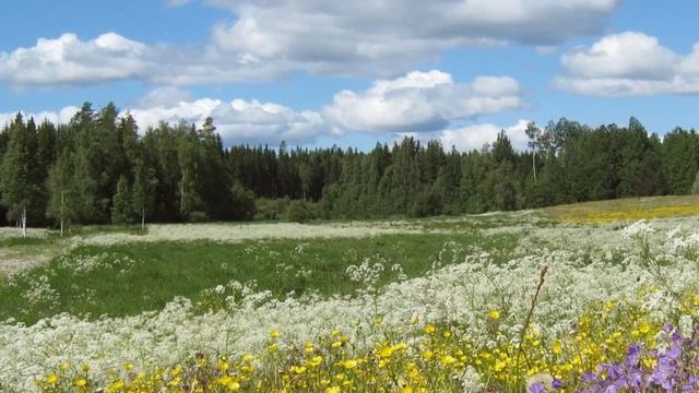 Во сне и наяву - ст. Виктор Михнев, муз. и исполнение- Александр Бойков