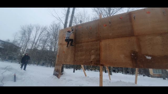 Олеся. ЧиП ледо 25