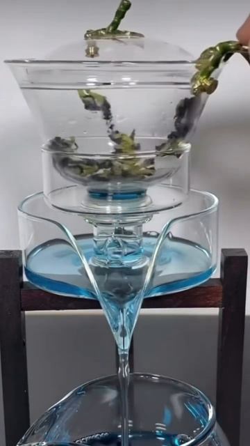 BLUE TEA 😍 Синий чай Анчан 😋🥰
