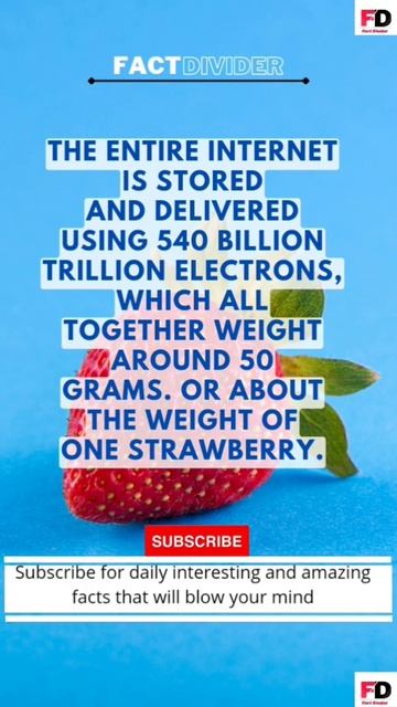 इंटरनेट का वजन इतना है| how much weight of internet #shorts #factdivider #strawberry #strawberries