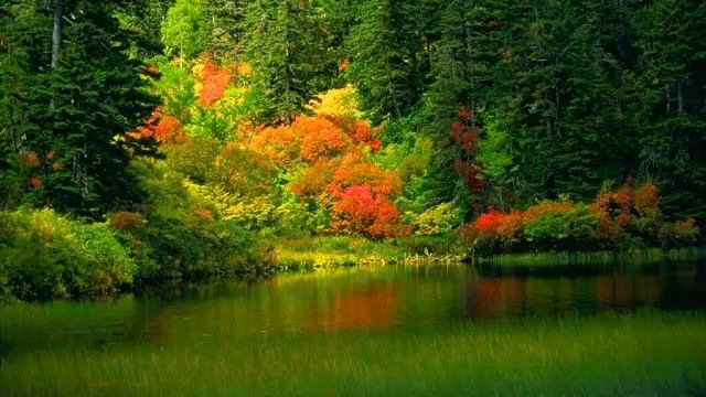 Ченнелинг 7.09.2014. Латуйя. Переключение путем самоидентификации - выход в главное в себе