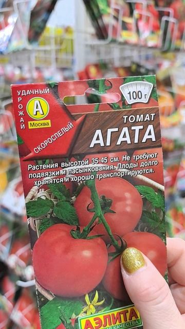 Сорт томатов,названный моим именем😂😂😂😂