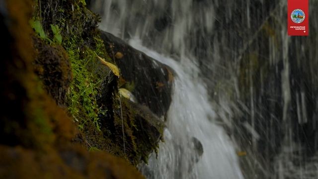 Карелия | Белые мосты