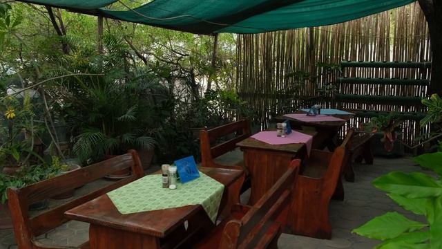 THE ULTIMATE VEGAN ADVENTURE: BOTSWANA