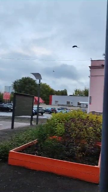VID-20231010-WA0001.mp4