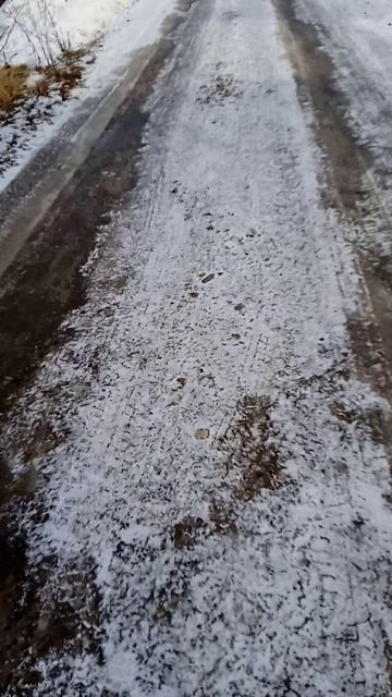 VID_20250204_141930.mp4