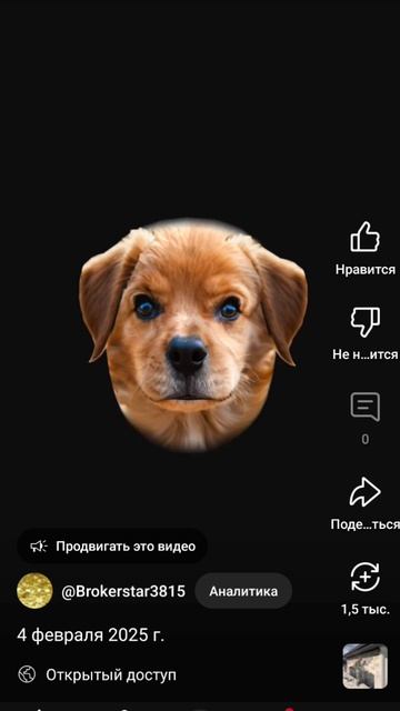 1000008655.mp4
