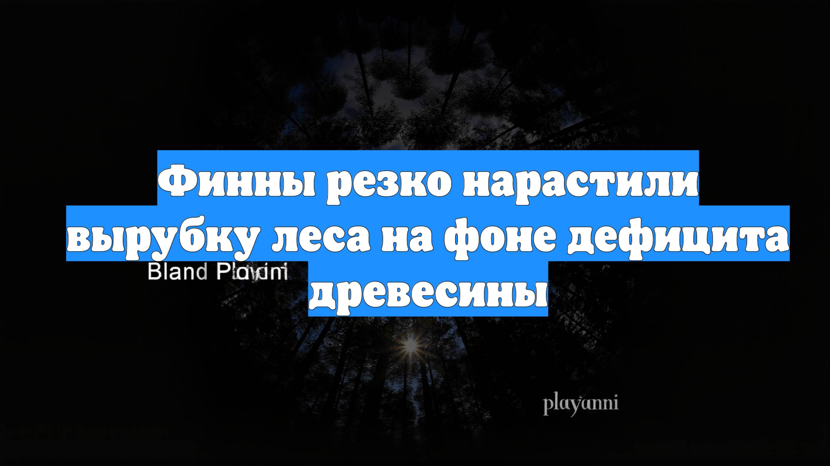 Финны резко нарастили вырубку леса на фоне дефицита древесины