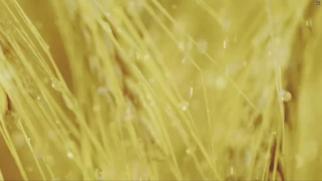 Галинадар - Прощание капели
