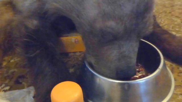 Малина из посылки очень понравилась