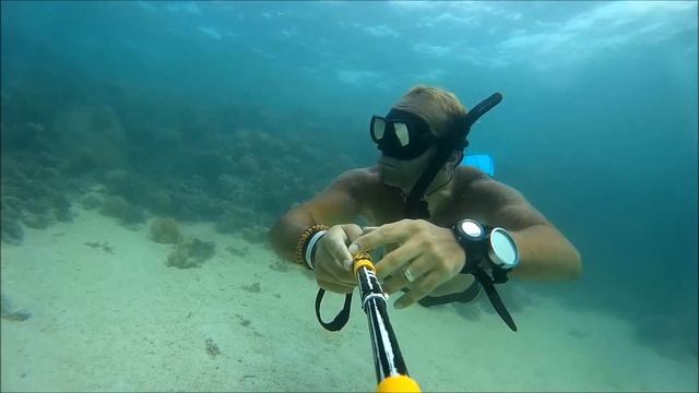 Freediving Red sea, Egypt.