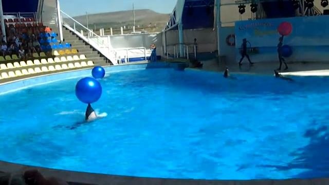 Дельфинарий Коктебель Часть 2