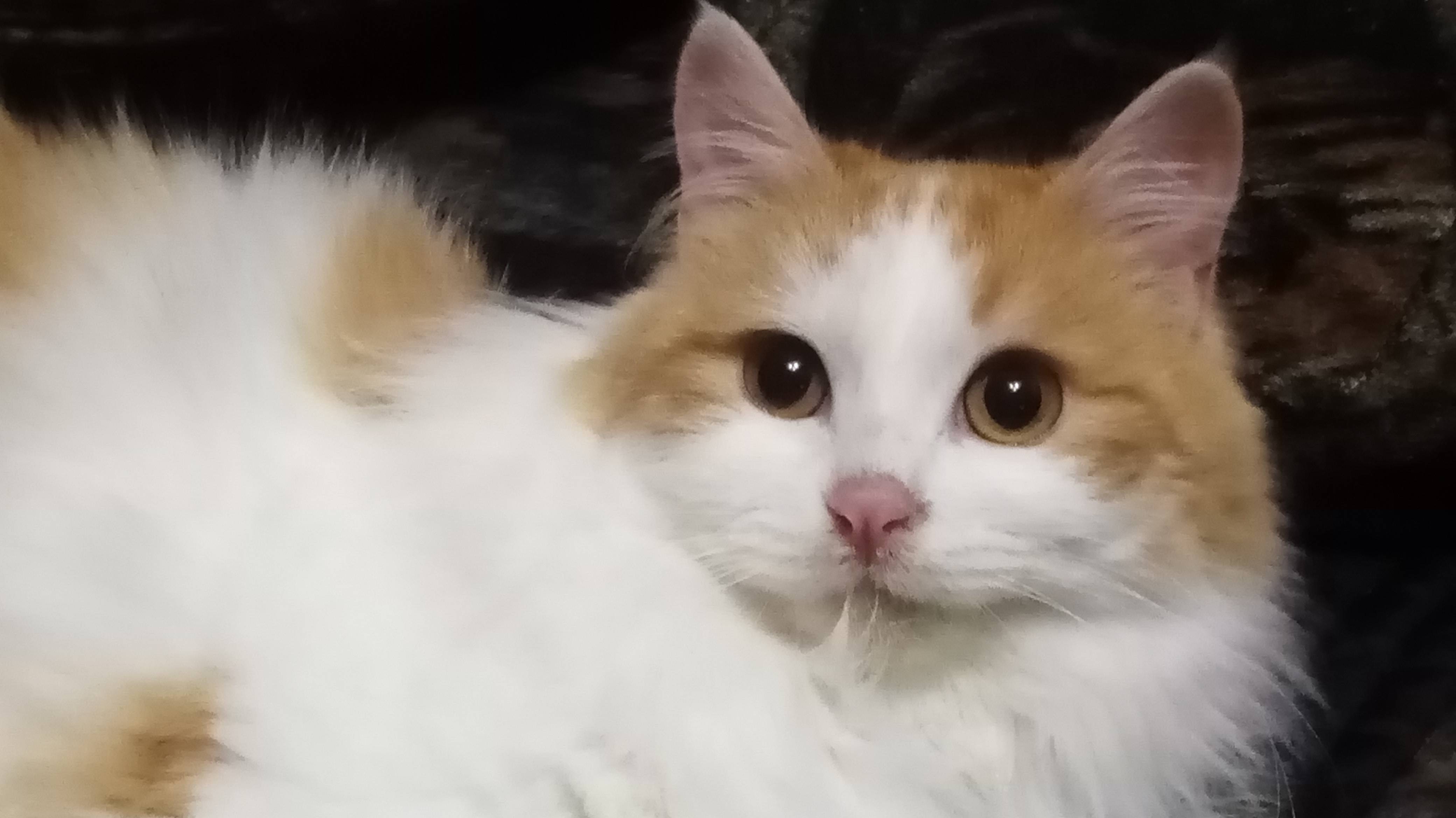 Дуся обрела семью, а у других все по прежнему.