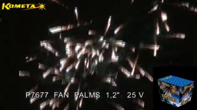 WYRZUTNIA P7677 - FAN PALMS 1,2