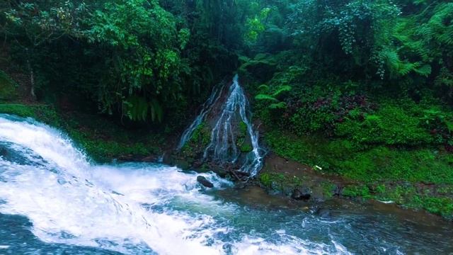 The best birdsong in the mountains, beautiful river flow, quiet paradise, beautiful waterfall