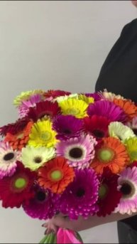 Гербера микс 35 шт