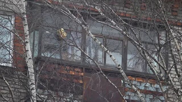 Тест объектива Юпитер-21М 200mm f/4 m42: вперед на охоту