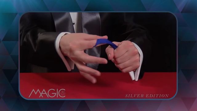 Magic: Silver Edition by Thames & Kosmos