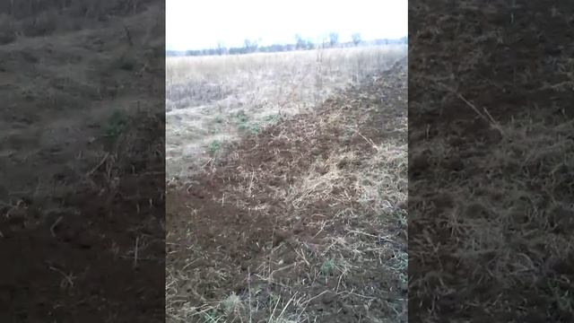 Фрезой по целине на японском минитракторе исеки