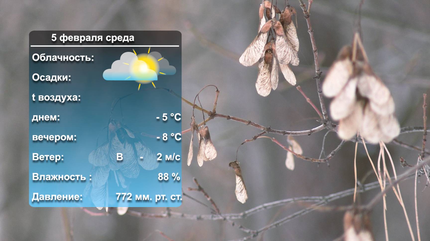 Погода на завтра_ 04_02_2025