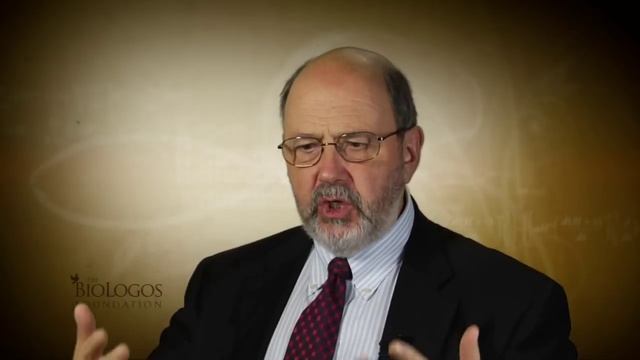 N.T. Wright on Adam and Eve