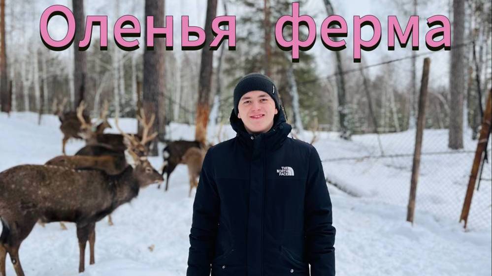 Незабываемая поездка на оленью ферму: наши лучшие моменты
