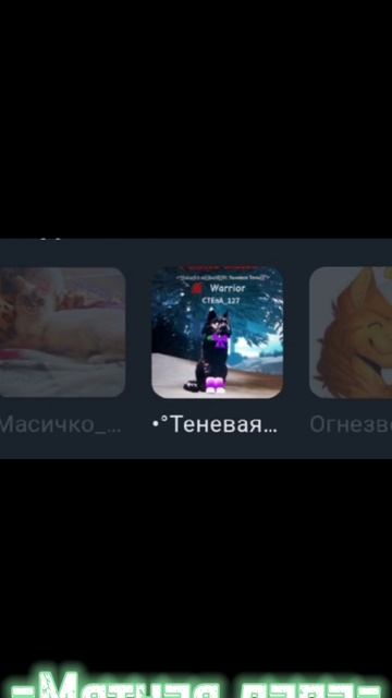 ♥️мои любимые КВэшники!♥️