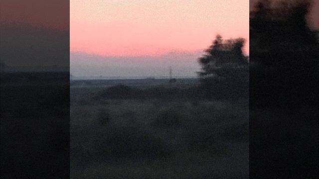 МНЕ УЖЕ ВСЁ РАВНО