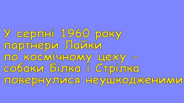 Тварини в космосі