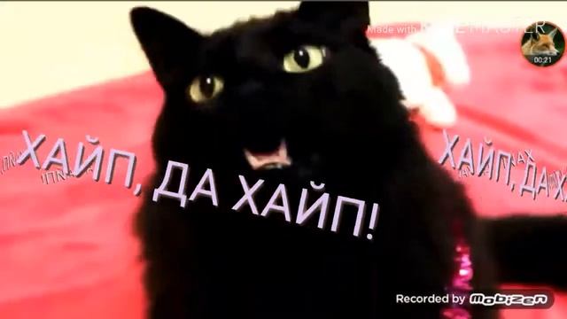 ВТФ! У МЕНЯ ТЕПЕРЬ САМОЕ УЖАСНОЕ ИНТРО В ЮТЮБЕ! НО ОНО ТОЧНО ЗАСТАВИТ ТКБЯ ОБОСАТЬСЯ! :D
