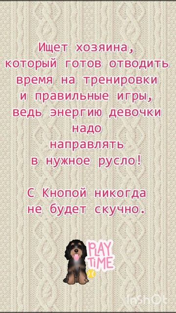 💖 Компактная метис спаниеля Кнопа ищет дом и семью. 💖