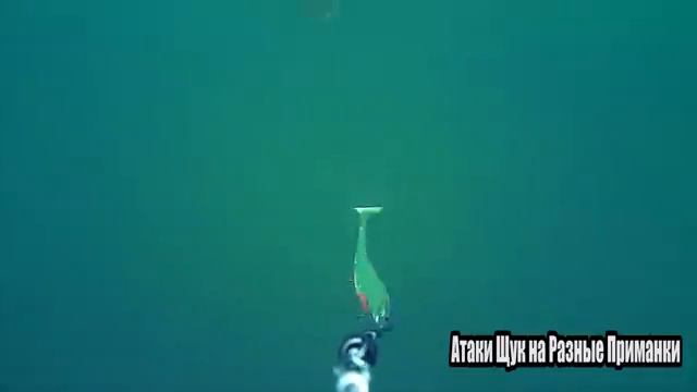 Рыбалка. ЗРЕЛИЩНЫЕ АТАКИ Больших Гигантских ЩУК на разные приманки. Подводная съемка